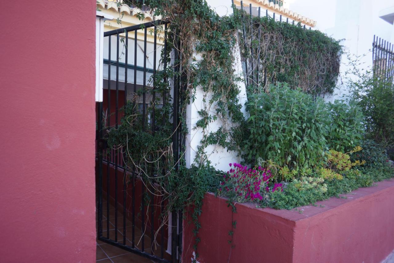 Cute And Relaxing Bed And Breakfast En Albayzin Granada Buitenkant foto